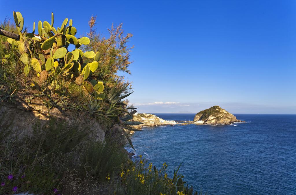 Costa Del Capitano Seaside Villas Sant'Angelo  Kültér fotó